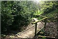 Footpath boardwalk