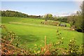 Fields by Merridge Hill