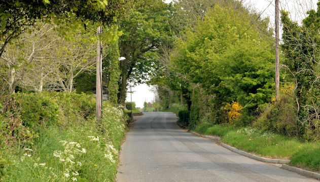 The Carrowreagh Road, Dundonald - April 2014(1)