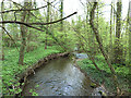 Stream in Oak Wood