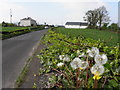 Magheranageeragh Road, Lislaird