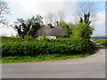 Derelict cottage, Lisnacloon