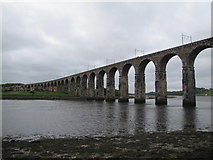 NT9953 : Royal Border Bridge by N Chadwick