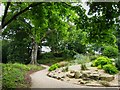 Path in Sheffield Botanical Gardens