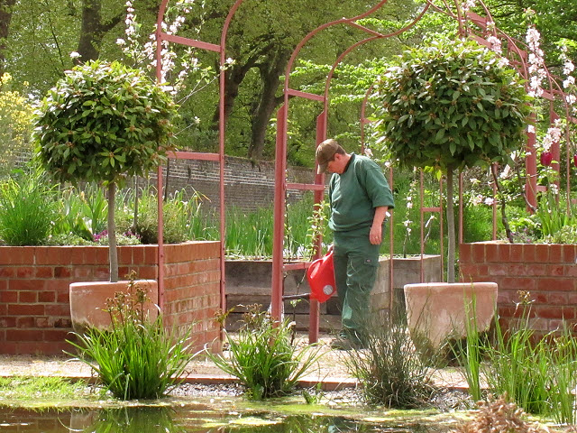 Watering plants in the Queen's Orchard 