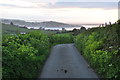 North Devon : Country Lane