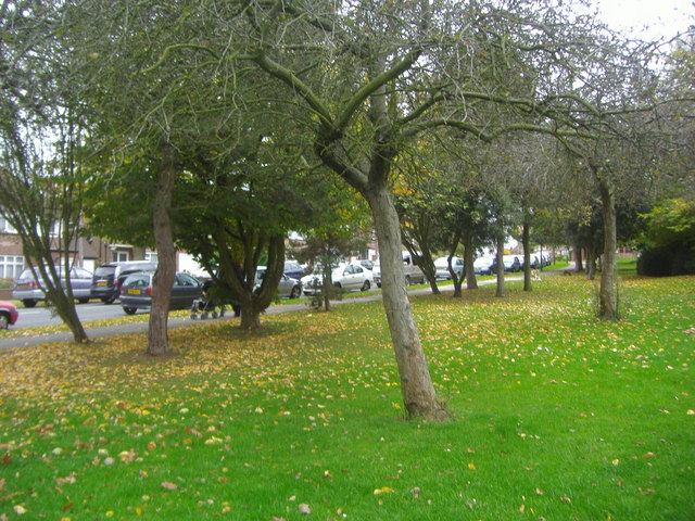 Woodcock Park by Shaftesbury Avenue