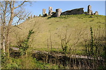 SY9582 : Corfe Castle by Philip Halling