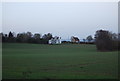 Houses on Mascall