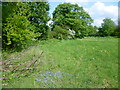 View from the London LOOP