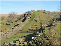 NY6766 : Hadrian's Wall west of Turret 45a by Mike Quinn