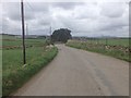 Minor road near Strathray