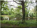 The Decoy pond in Brent Park