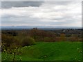 High ground above Helsby, near Riley Bank (2)