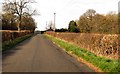 Cassington Road approaching Burleigh Lodge