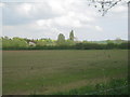 View towards Mill Farm