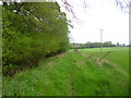 Hamptworth, footpath