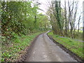 Hamptworth, country lane