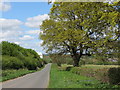 Down  the  road  to  the  mineral  works