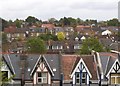 Roofs on Regents Park Road and beyond