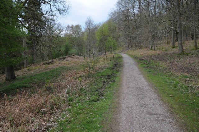 Quest Slade, Forest of Dean - area information, map, walks and more