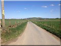 Farm road to East Middlemuir