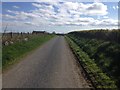 Minor road near Mains of Skelmanae