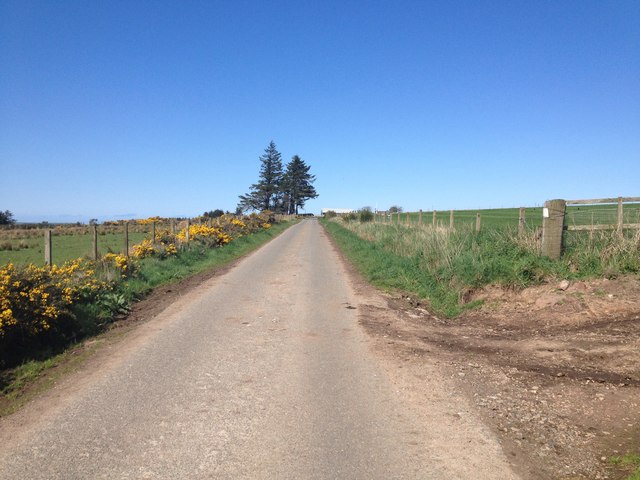 Minor road near Upper Cook