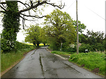 TM3992 : Yarmouth Road, Geldeston by Geographer