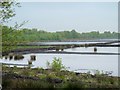 Peat Marshes, Chat Moss