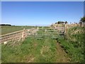 Gated farm track at Peterden