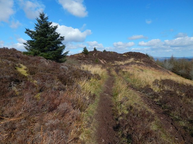 Path To Viewpoint © Lairich Rig Geograph Britain And Ireland