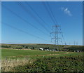 Power lines and pylons east of Trefil Road, Nant-y-Bwch