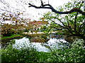 House and pond at Hobbs Farm