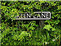 TM4196 : Green Lane sign by Geographer