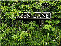 TM4196 : Green Lane sign by Geographer