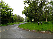 TM4196 : Thurlton Road, Pockthorpe by Geographer