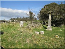 S3669 : Graveyard and Ruin by kevin higgins