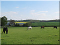 Horses at Wickham Court Farm