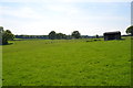 Grass field and shelter