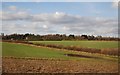 Farmland on the edge of Maidenhead