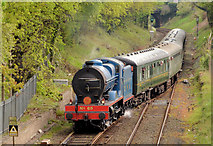J2664 : Steam locomotive no 85, Lisburn - May 2014(2) by Albert Bridge