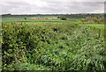 Farmland around Inwood Farm