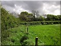 Path near Budley Farm