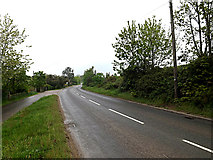 TM4593 : Rectory Road, Aldeby by Geographer