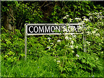 TM4693 : Common Road sign by Geographer