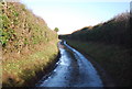 TF9440 : Narrow lane by N Chadwick