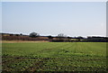 TF9440 : Farmland in the Stiffkey valley by N Chadwick