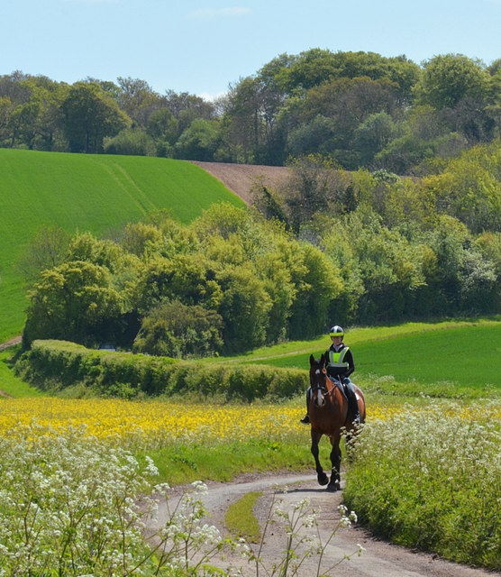 Morning ride in the springtime on Garsons Hill, Ipsden, Oxfordshire