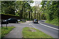 Hutcliffe Wood Road Towards Abbeydale Road